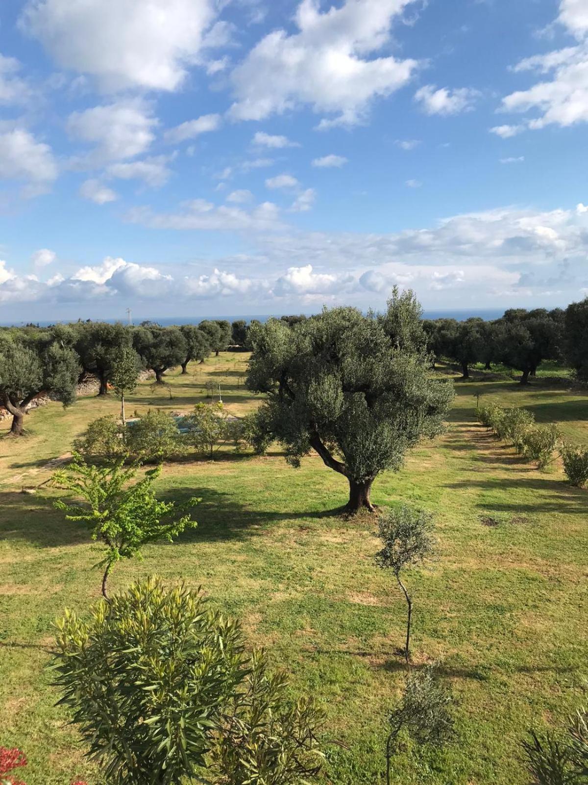 Villa Sol Invictus Est Serranova Esterno foto