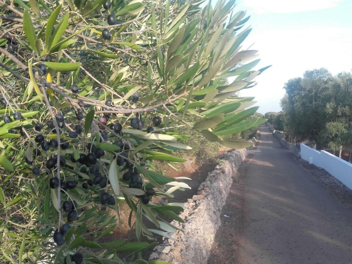 Villa Sol Invictus Est Serranova Esterno foto