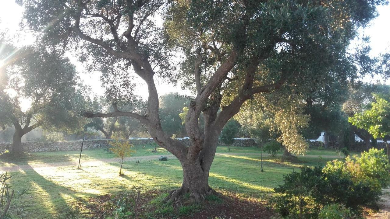 Villa Sol Invictus Est Serranova Esterno foto